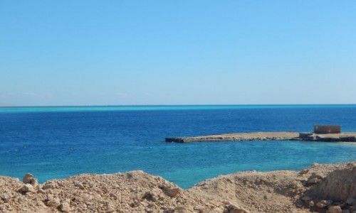 Zdjecie EGIPT / Hurghada / Morze czarne / Morze czerwone