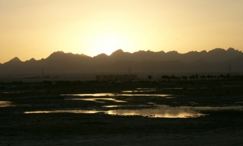 Zdjcie EGIPT / wybrzee morza Czerwonego / Hurghada / zachd soca