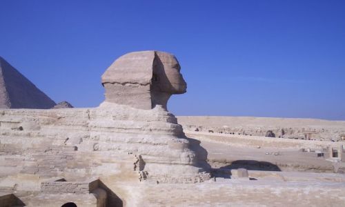 Zdjecie EGIPT / brak / Giza / Egipt