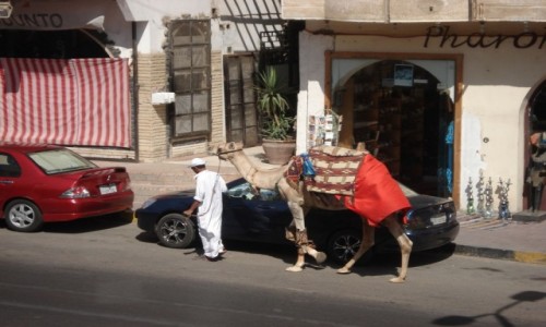 Zdjęcie EGIPT / Prowincja Morza Czerwonego / Hurghada / Egipskie wspomnienia