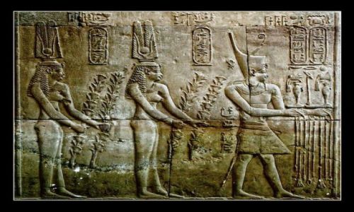 Zdjęcie EGIPT / brak / Kom-Ombo / One of The Kom-Ombo's reliefs