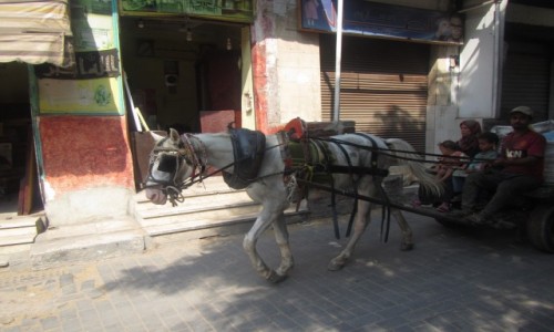 Zdjcie EGIPT / Kair / Kair / Popularny transport
