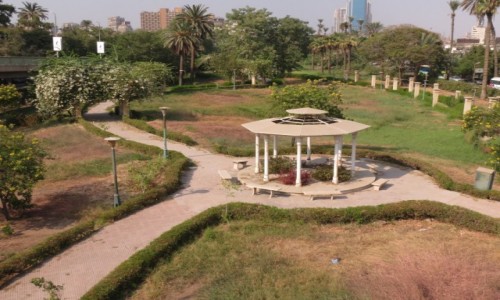 Zdjcie EGIPT / Kair / Zamalek / Ogrd botaniczny