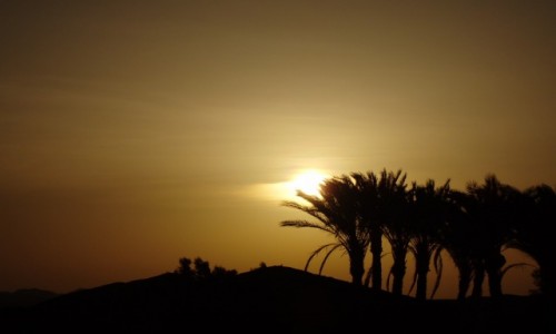 Zdjcie EGIPT / Marsa Alam / Marsa Alam / Wyciszamy si....