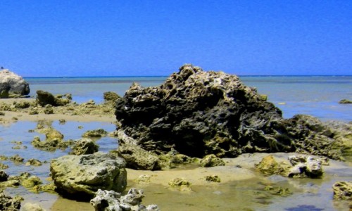 Zdjecie EGIPT / Region Morza Czerwonego / Hurghada / Skay