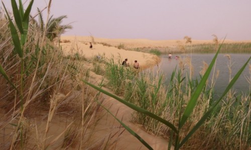 Zdjcie EGIPT / Afryka /  Siwa / siwa oaza jezioro