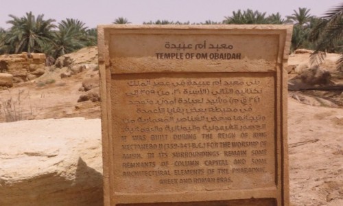 Zdjcie EGIPT / Afryka /  Siwa / siwa wyrocznia