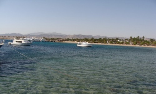Zdjecie EGIPT / - / hurghada  / egipt