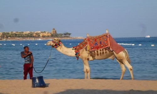 Zdjcie EGIPT / Pustynia Arabska / Hurghada / wspomnienie lata