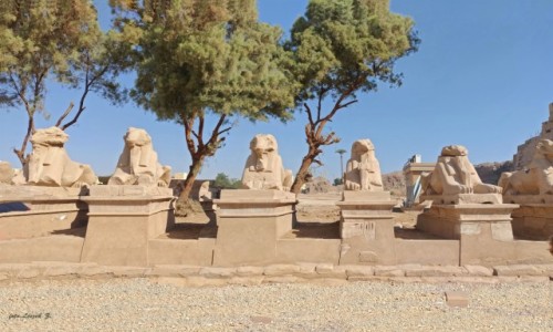 Zdjęcie EGIPT / Luksor. / Karnak. /