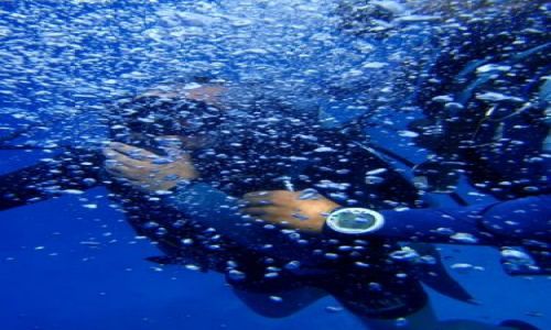 Zdjecie EGIPT / brak / okolice sharm el sheikh / pod wodą