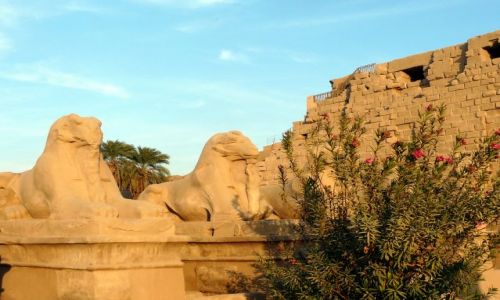 Zdjęcie EGIPT / Afryka / Karnaku/Luksor / Ruiny świątyni  01