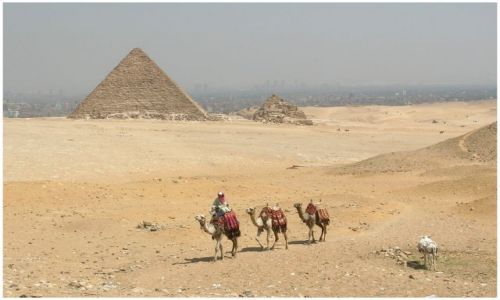 Zdjęcie EGIPT / Egipt północny / Giza,Kair /