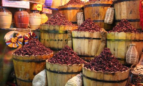 Zdjęcie EGIPT / Hurghada / Stare Miasto / Hibiskus