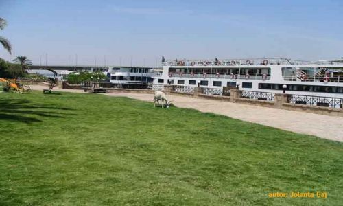 Zdjecie EGIPT / Luksor / Luksor / M/S Nile Saray w porcie w Luxorze