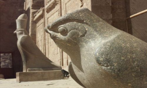 Zdjecie EGIPT / brak / Edfu / Świątynia Horusa