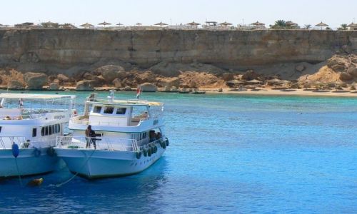 Zdjecie EGIPT / brak / Egipt- mój dom :) / Red Sea