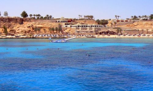 Zdjecie EGIPT / brak / Egipt- mój dom :) / Red Sea