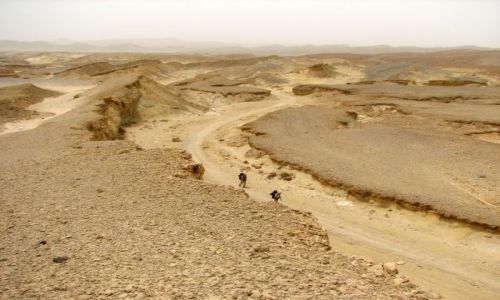 Zdjecie EGIPT / Pustynia Wschodnia (Arabska) / miedzy el Quseir a Safaga / Operacja Pustynna Burza