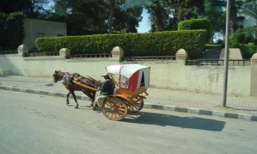 Zdjecie EGIPT / Kair / Ulica Kairska / Transport