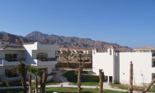 Zdjęcie EGIPT / Synaj / Dahab 5 km / Hotel Sea Sun