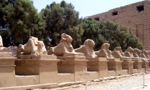 Zdjecie EGIPT / Karnak / światynia w Karnaku / światynia w Karnaku