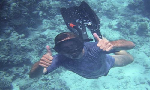 Zdjecie EGIPT / Sharm el - Sheikh / Sharm el - Sheikh / wielki bkit
