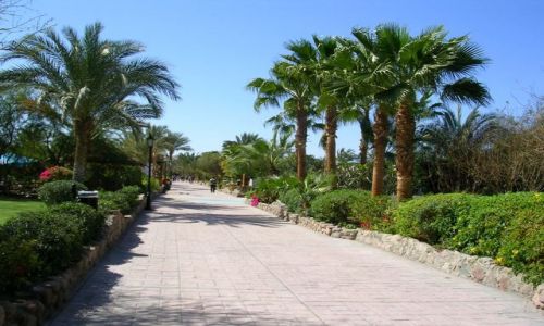 Zdjecie EGIPT / Półwysep Synaj / Szarm el-Szejk-  Naama Bay / Nadmorska promenada