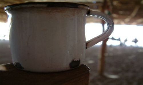 Zdjecie EGIPT / brak / Sahara / TeaTime