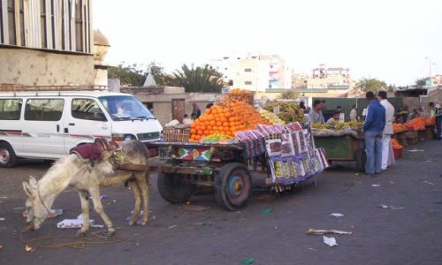 Zdjecie EGIPT / Hurgada / Restauracja El Dhara / Targ w Hurgadzie