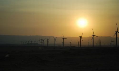 Zdjęcie EGIPT / dolny Egipt / Egipt / W drodze do ...