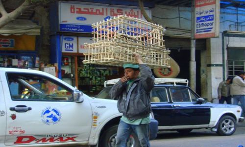 Zdjęcie EGIPT / -Kair / Kair / Transport