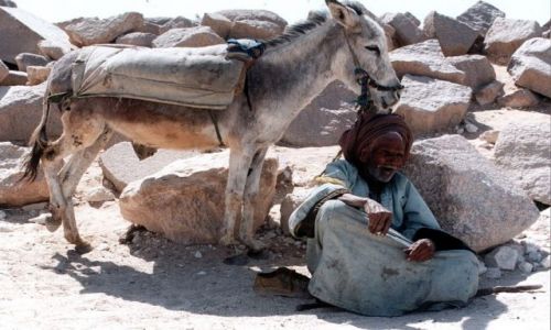 EGIPT / - / Giza / 