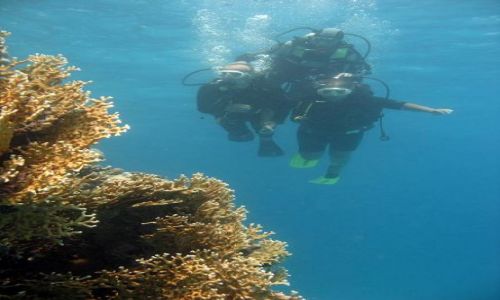 Zdjecie EGIPT / - / Hurghada / Pierwsze prby