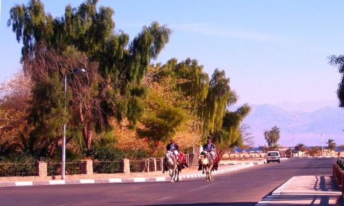 Zdjecie EGIPT / Sharm el Sheikh / Nuwejba / szosa...
