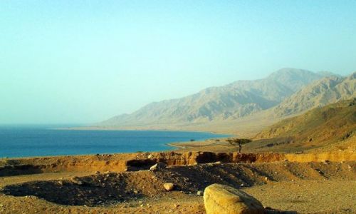 Zdjęcie EGIPT / Synaj / w drodze do Dahab / W porannych promieniach