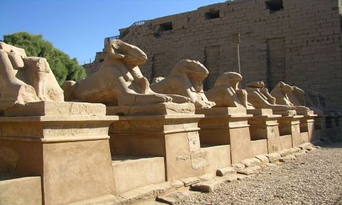 Zdjecie EGIPT / Grny Egipt / Karnak / Aleja Sfinksw