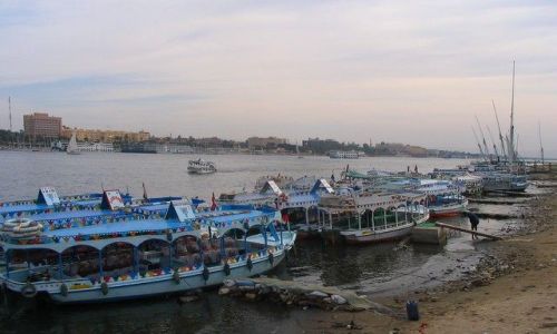 Zdjęcie EGIPT / Afryka - Delta Nilu / w okolicy Kairu / nad Nilem