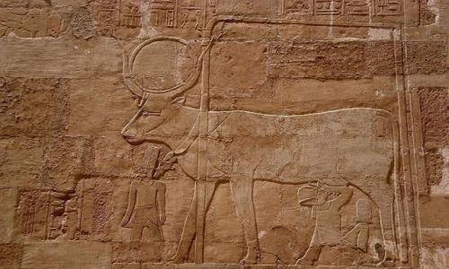 Zdjecie EGIPT / - / witynia Hatszepsut Deir el-Bahari / Paskorzeby