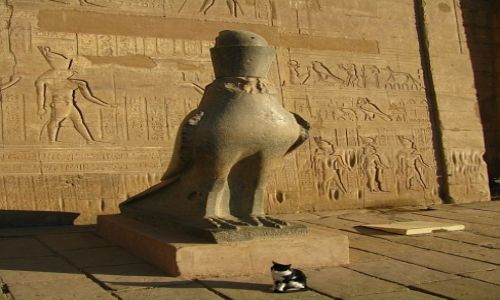 Zdjecie EGIPT / Grny Egipt / Edfu / witynia Horusa