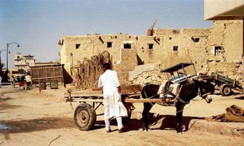 Zdjecie EGIPT / brak / Oaza Siwa / Oaza Siwa