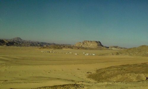 Zdjęcie EGIPT / półwysep Synaj /  okolice  Nuwejby /  na pustyni