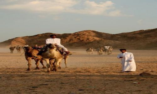 Zdjecie EGIPT / - / Sharm el Sheikh / ...