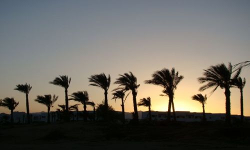 Zdjcie EGIPT / Paw. Synaj / Sharm el Sheik / Sunset
