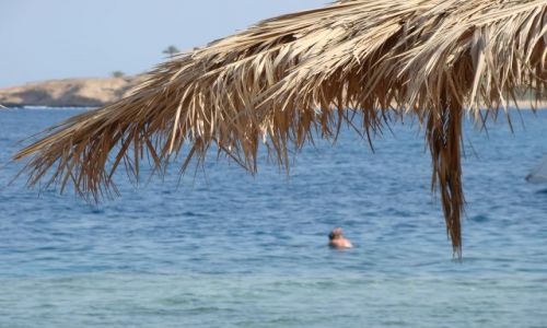 Zdjecie EGIPT / Paw. Synaj / Sharm el Sheik / Sharks Beach