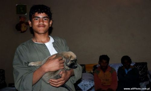 Zdjecie EGIPT / brak / Luxor / People of Gurnat Mura'i