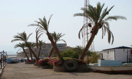 Zdjecie EGIPT / Paw. Synaj / Sharm el Sheik / Deptak przy porcie