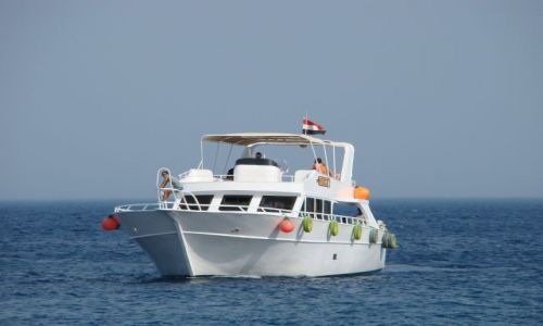Zdjecie EGIPT / Paw. Synaj / Sharm el Sheik / Na fali