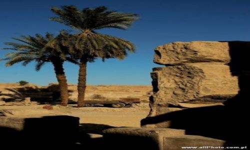 Zdjecie EGIPT / brak / Luxor / Karnak