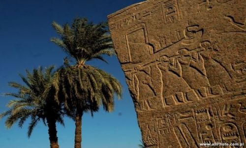 Zdjecie EGIPT / brak / Luxor / Karnak
